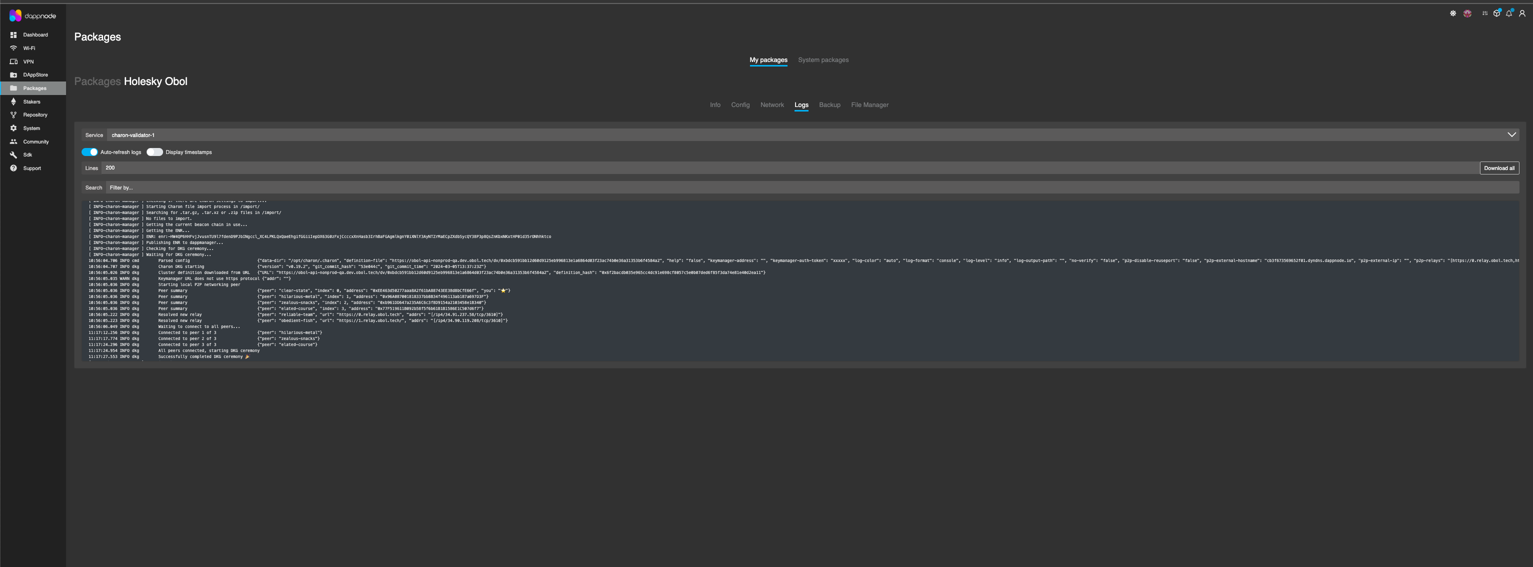 Screenshot: Example of DKG ceremony competed log.