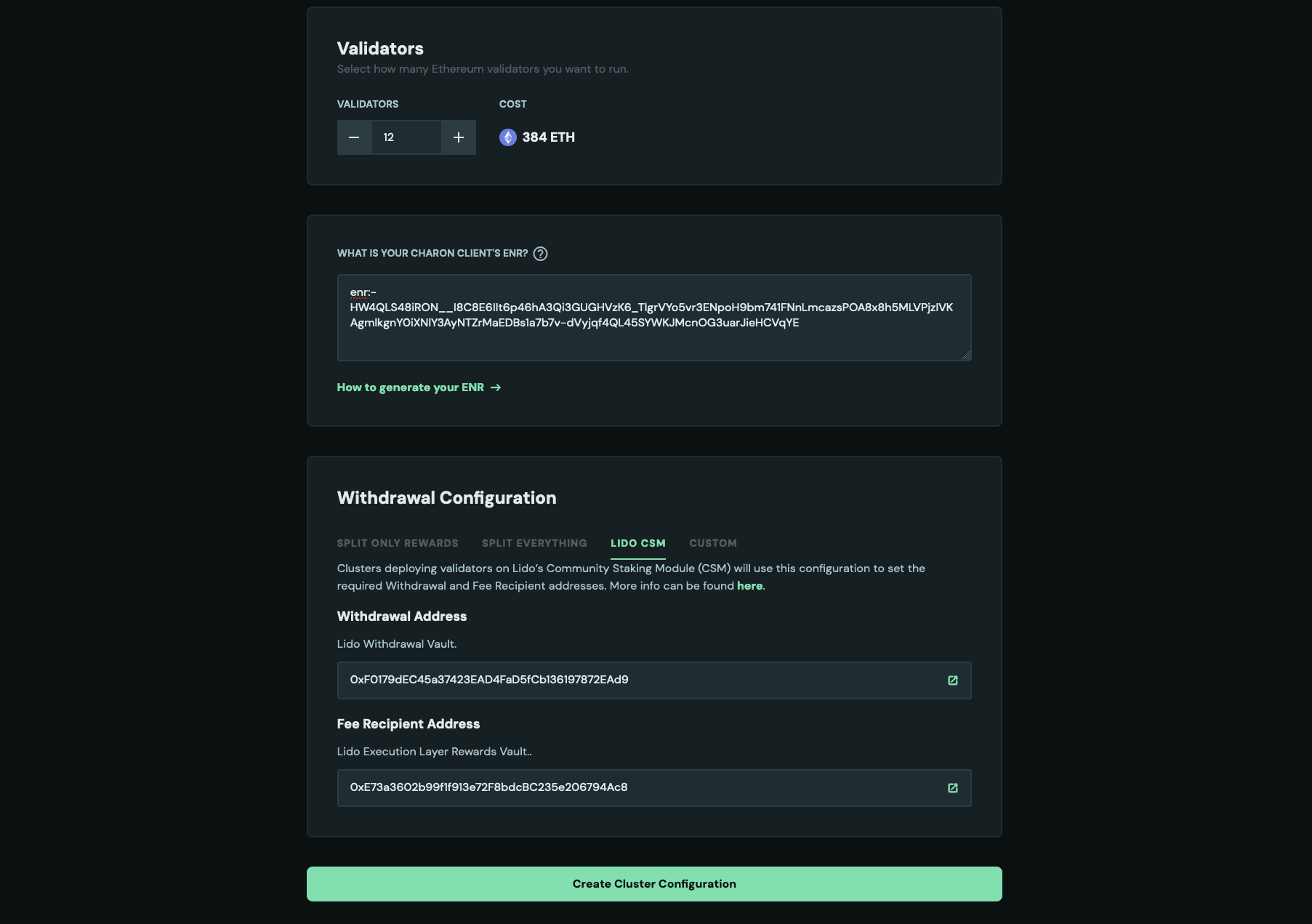 Screenshot: Finally, click on the Create Cluster Configuration button.