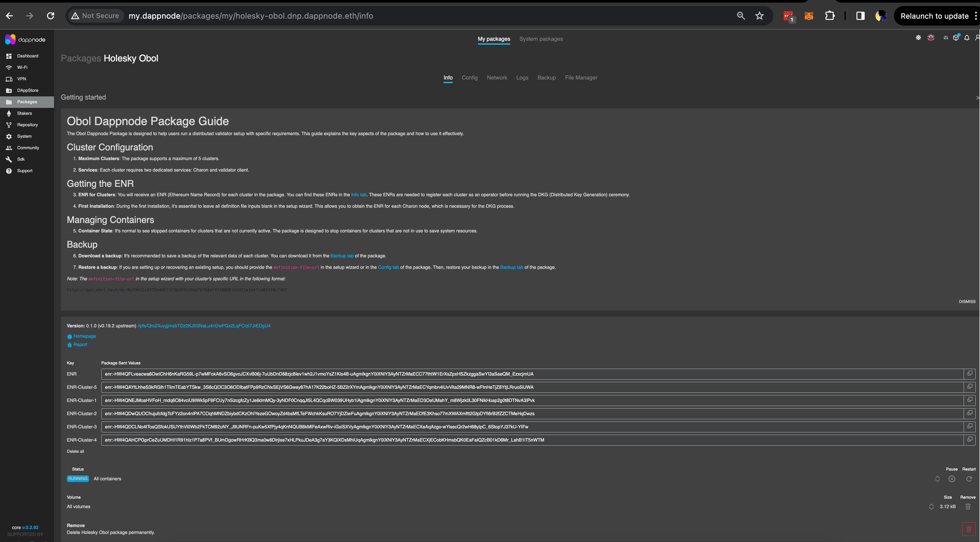 Screenshot: Under the 'Info' tab, you will see pre-generated ENRs, along with information such as the status of all five distributed validator clusters, their docker volumes &amp; other menu…